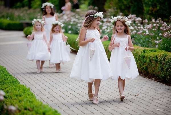 Pauli Duarte: Daminhas 11 073