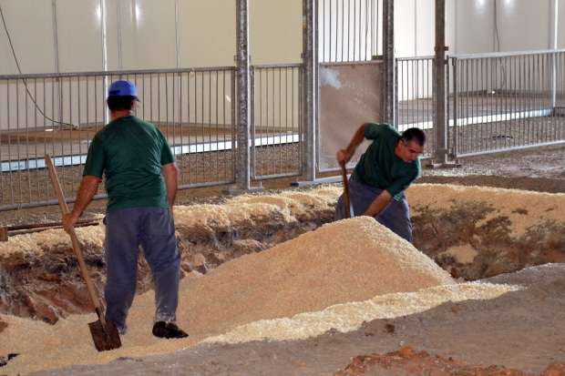 AgroPonte2015 Montagem 5