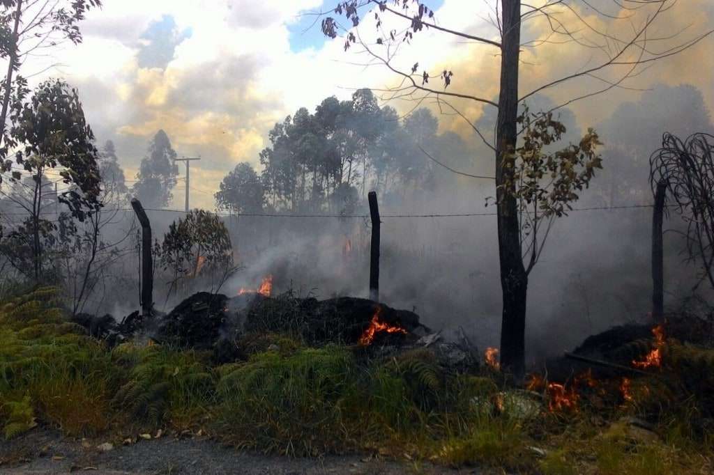 775f7856 dd8a 464c 95d6 e6a1cb46a9de