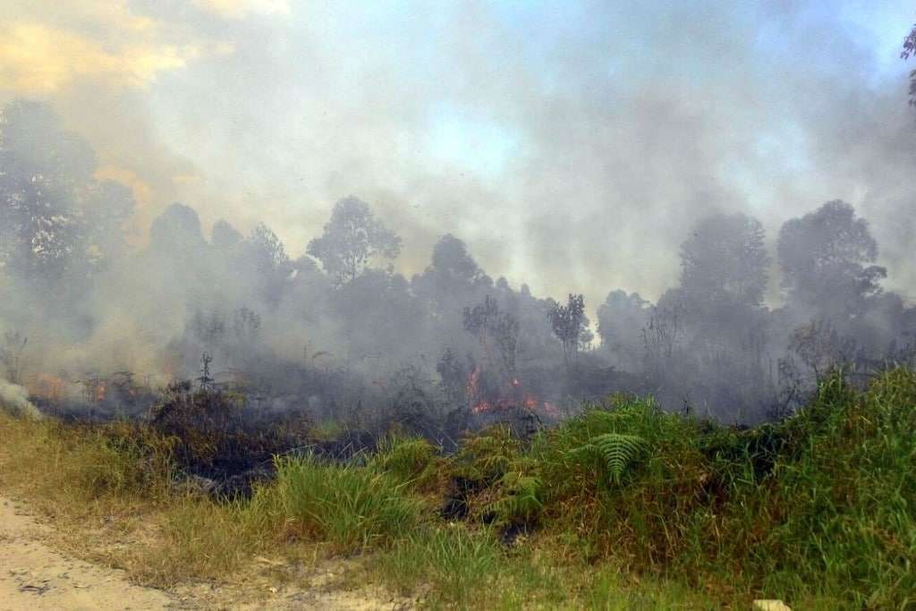 ac70877b ccc8 4c55 98e5 eea95f1776a0