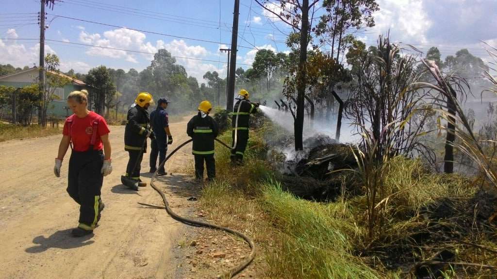 d57a8b03 548a 4311 8c91 51e5a741f02f