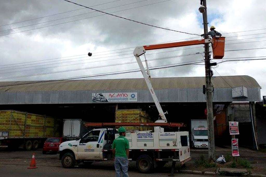 12325364 1004784569600568 361708933 n