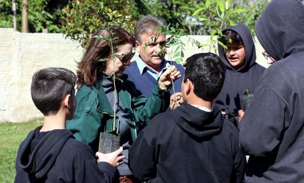 Dia da Árvore Comitê Araranguá 5