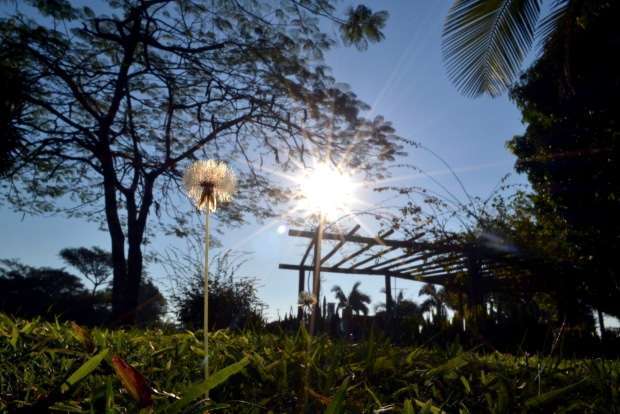 Unesc Fotos Arquivo 4