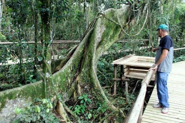 nova trilha parque 3