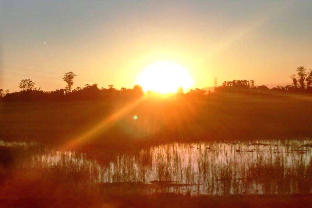 12810309 10208464105431313 1234238758 o