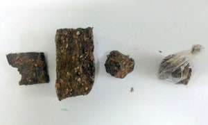 AkgR p4CNGQNJ7PIbXjNLrS2YD DQ43GQwj eLp7P6X0