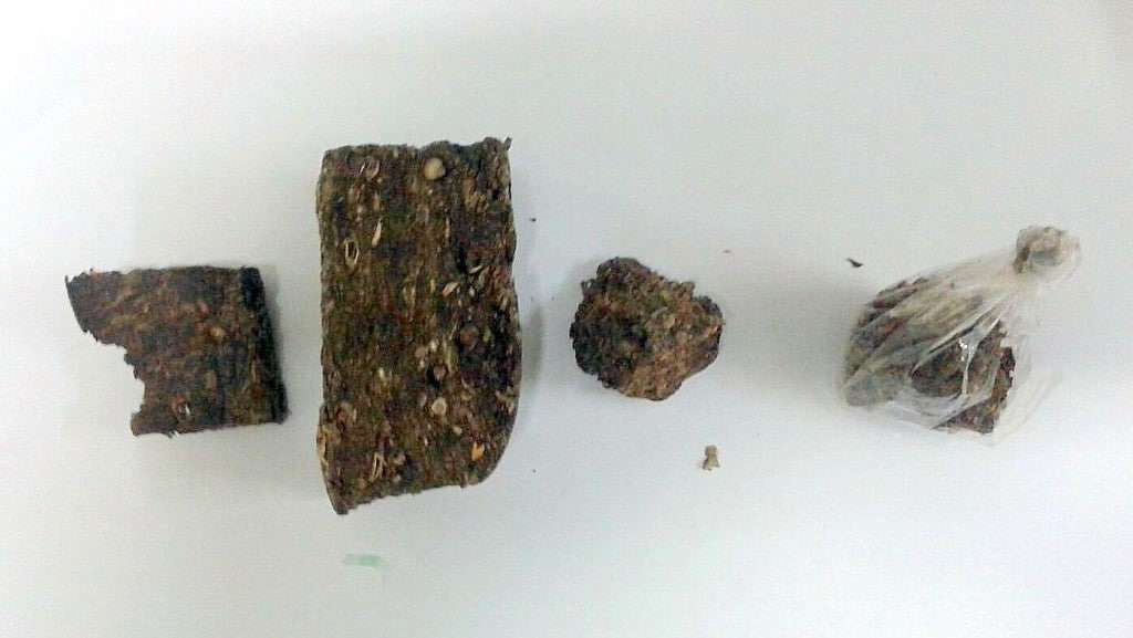 AkgR p4CNGQNJ7PIbXjNLrS2YD DQ43GQwj eLp7P6X0