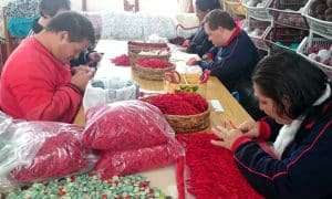 Fotos Filipe Gabriel 5