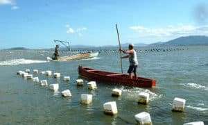 nilson teixeira epagri