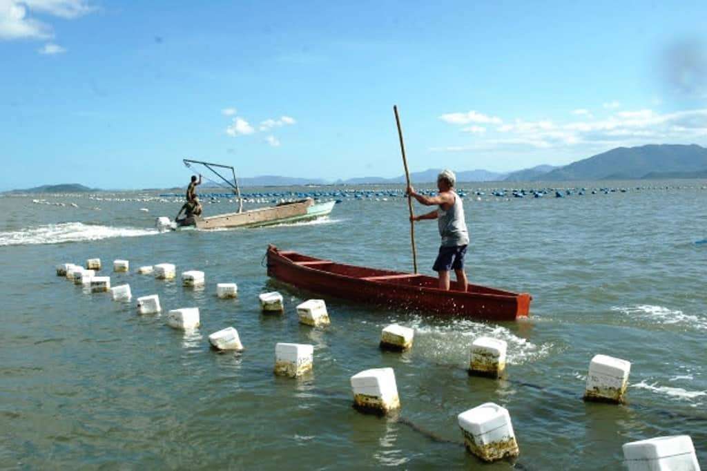 nilson teixeira epagri