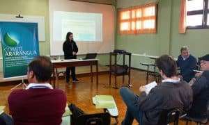 Comissão Consultiva 1