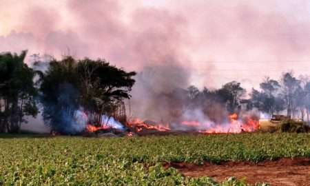 IMG 20160704 152952264 HDR 1