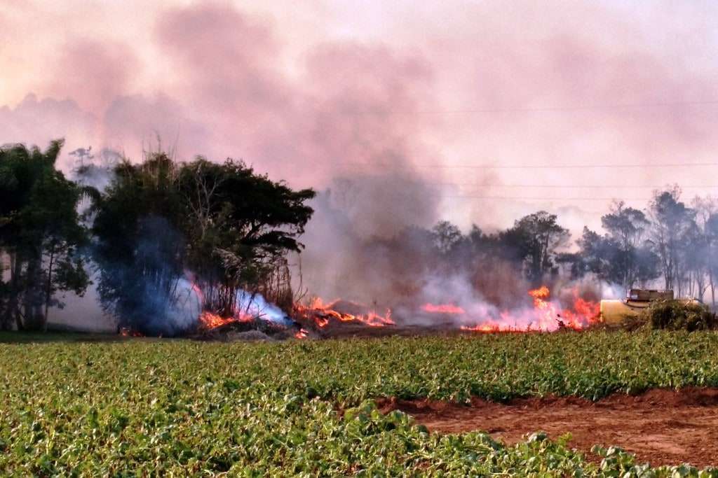 IMG 20160704 152952264 HDR 1