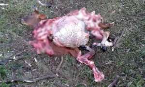 WhatsApp Image 20160722