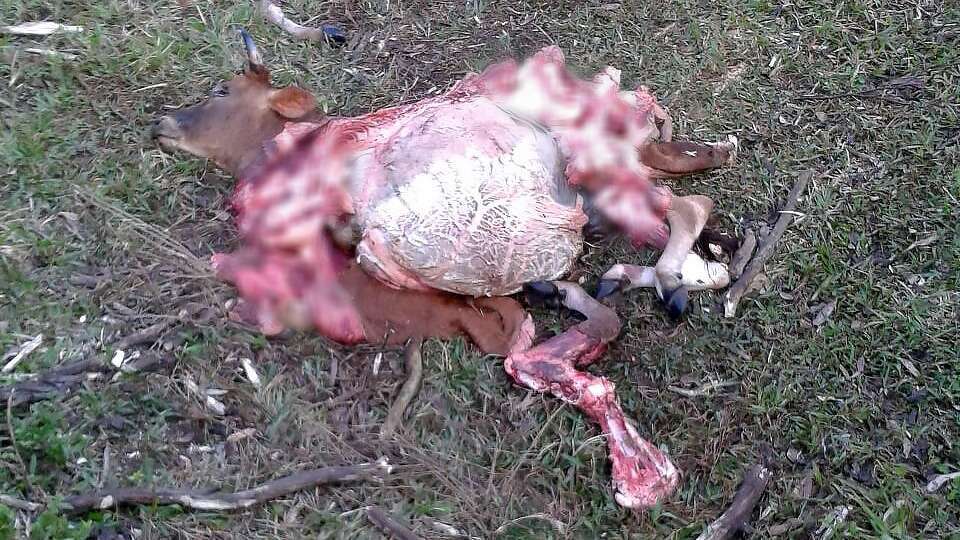 WhatsApp Image 20160722