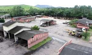 renan carbonifera criciuma 39 1