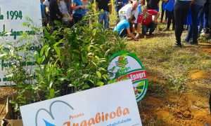 Comitê do Rio Araranguá Jacinto Machado 4