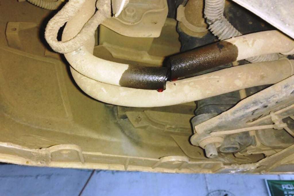 Correia Dimas Kammer