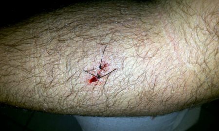 WhatsApp Image 2016 11 15 at 20.41.36