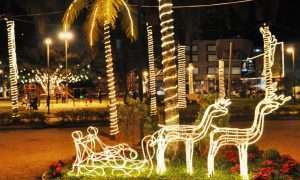 natapraçacongressoulissesjob