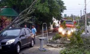 sandero defesa civil