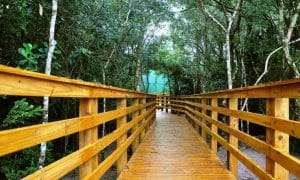 florianopolis trilha ecologica do rio vermelho 20170223 1571769370