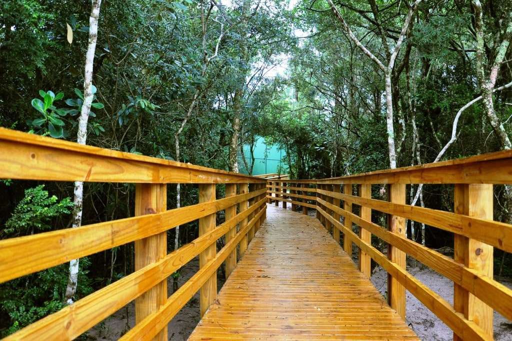 florianopolis trilha ecologica do rio vermelho 20170223 1571769370