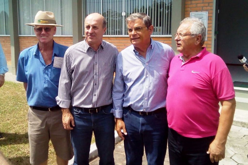 Lançamento variedade arroz