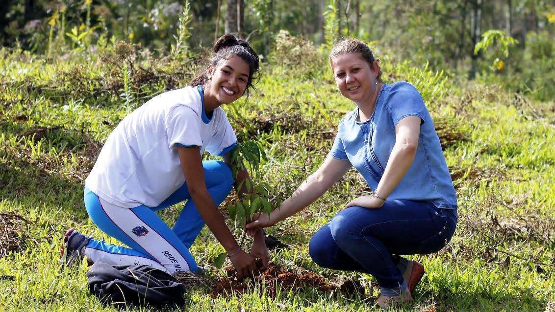 Estudantes plantam árvores para recuperar nascente em Nova ... - Forquilhinha Notícias