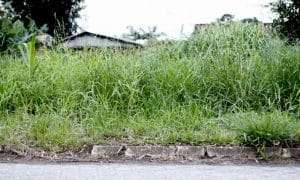 Terrenos baldios em Criciúma Foto de Jhulian Pereira 2