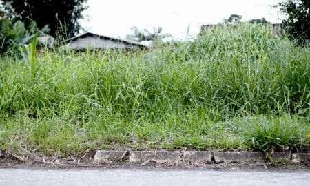 Terrenos baldios em Criciúma Foto de Jhulian Pereira 2