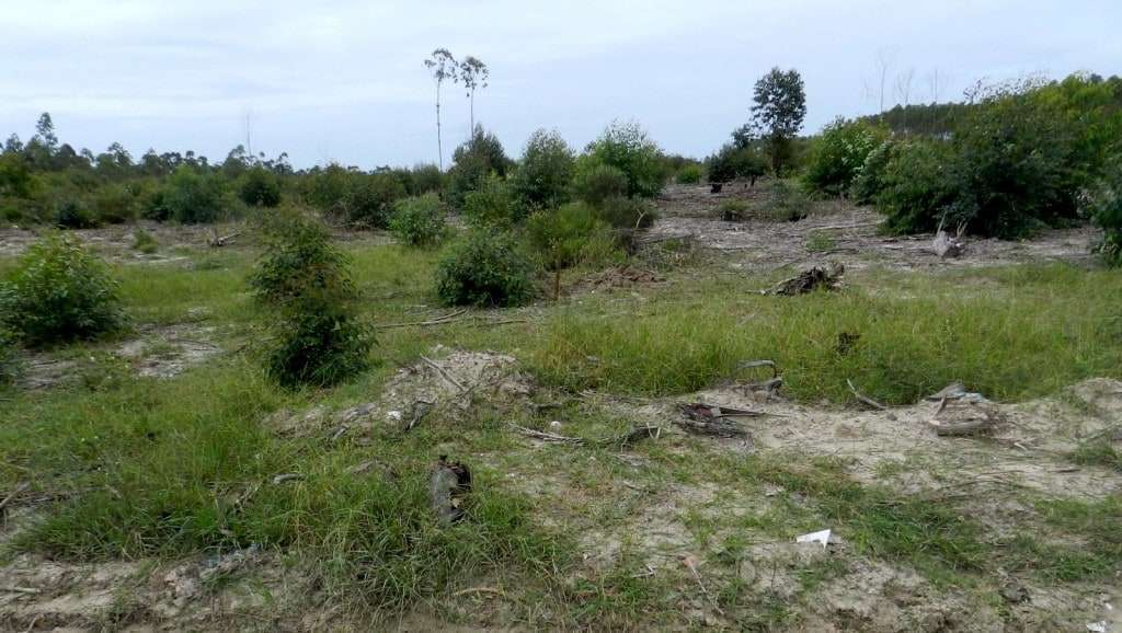 Mais de um ano depois, namorada confessa ter assassinado e enterrado corpo de Valcionir da Rosa 9 Valcionir 1