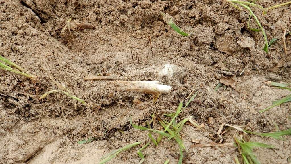 Mais de um ano depois, namorada confessa ter assassinado e enterrado corpo de Valcionir da Rosa 8 Valcionir