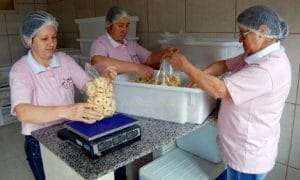 trombudo central agricultoras catarinenses 20161122 1084912381