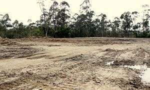 Terreno da Prefeitura d Criciúma Foto de Jhulian Pereira