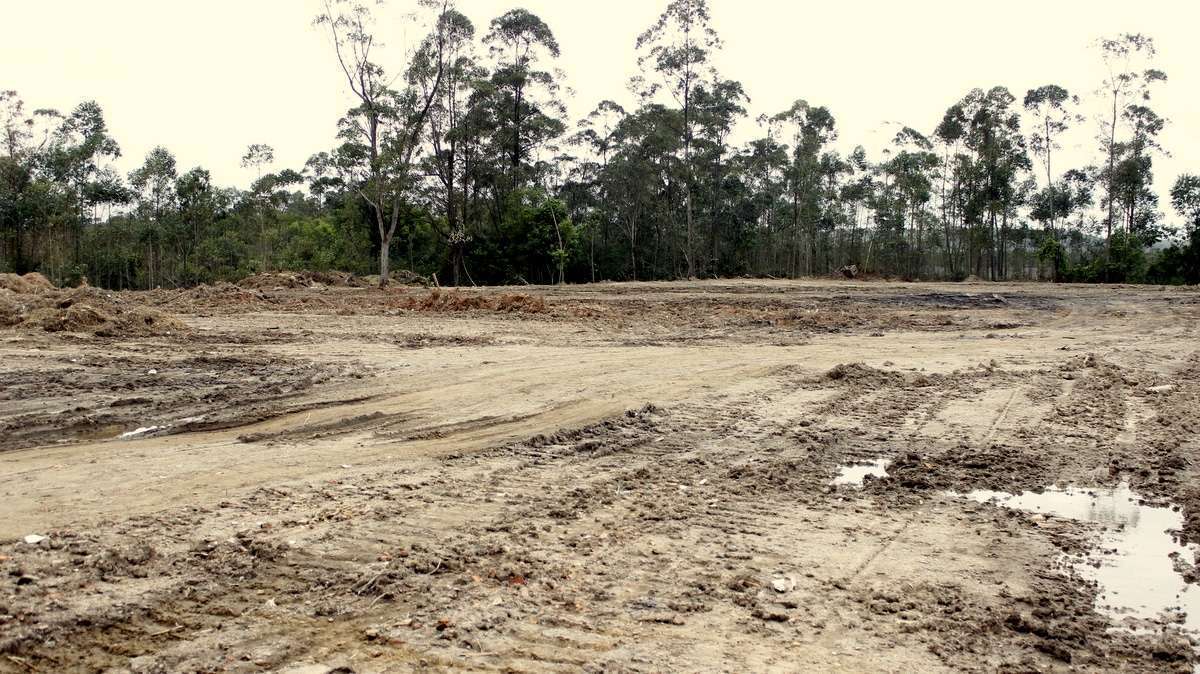 Terreno da Prefeitura d Criciúma Foto de Jhulian Pereira
