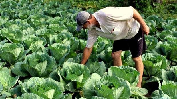 Agricultura Familiar