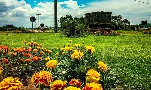 Canteiro rótula Rodovia Gabriel Arns