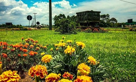 Canteiro rótula Rodovia Gabriel Arns