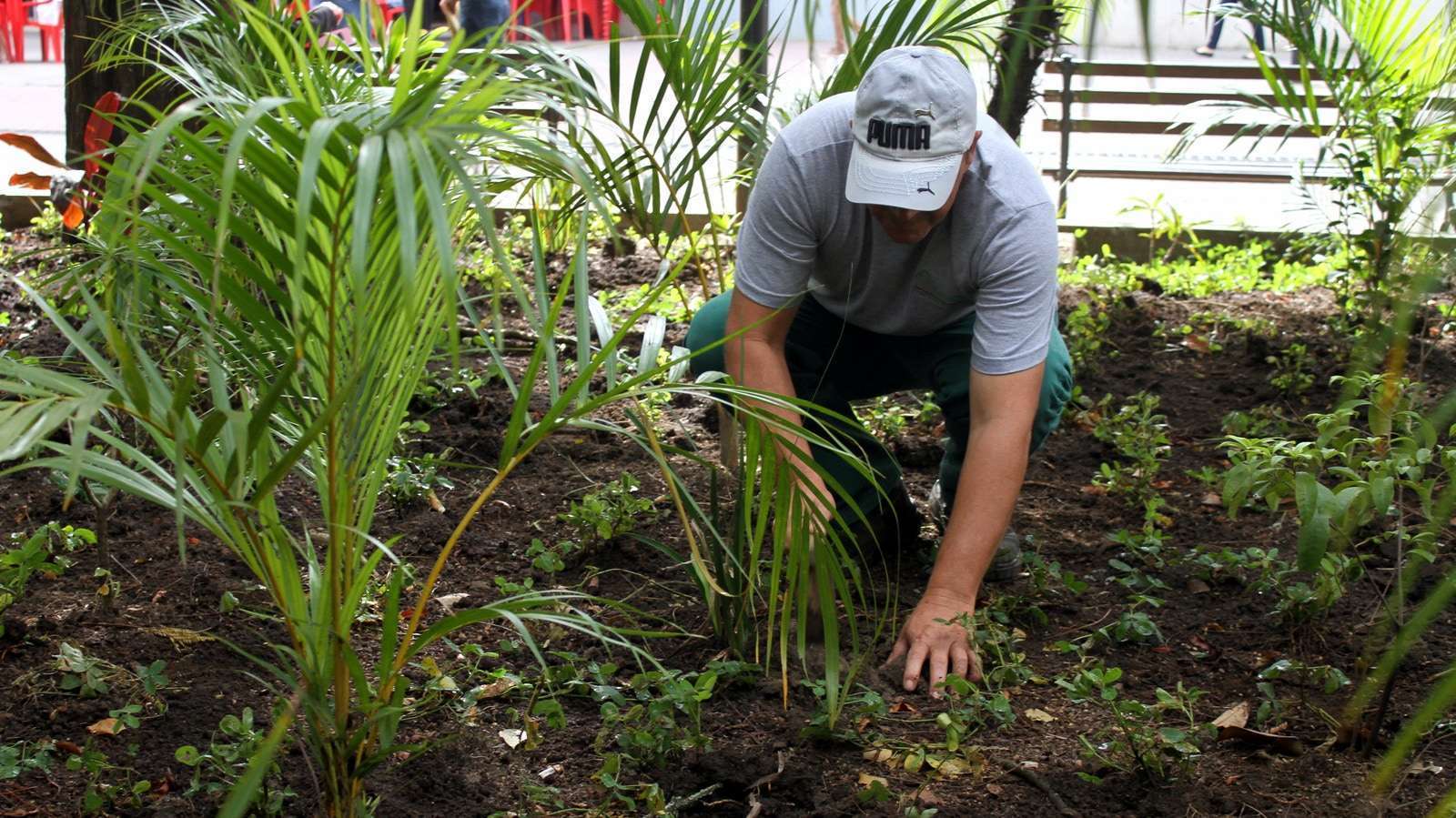 Plantio na Praça Nereu Ramos Foto de Émerson Justo 2