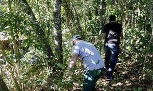 Trilha ecológica Foto de Émerson Justo 1