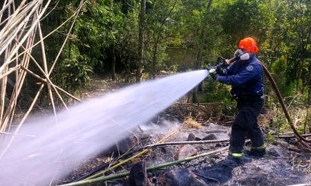 florianopolis bombeiros registraram mais de 200 focos de incendio em vegetacao nesta semana 20170728 1719656559
