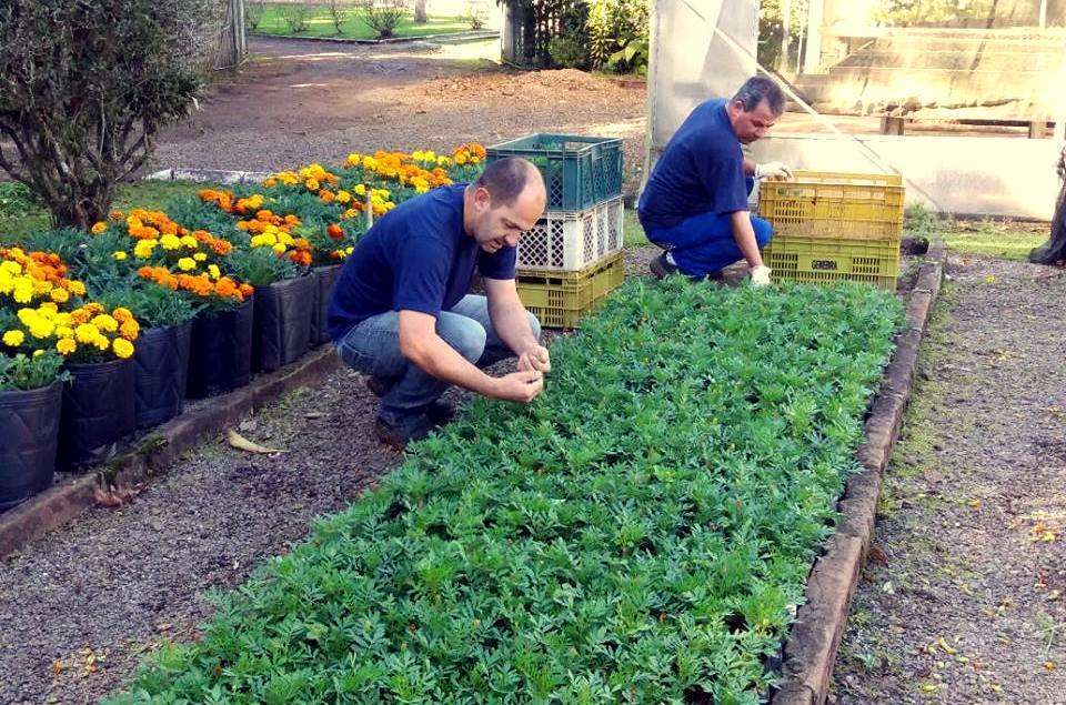 Nova diretoria da Associação Empresarial de Forquilhinha toma posse 8 25 08 Cultivo de mudas