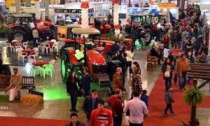 AgroPonte 2017 3