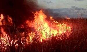 incendio 1