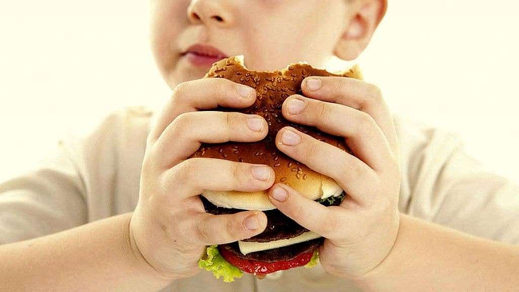 obesidade infantil unesc