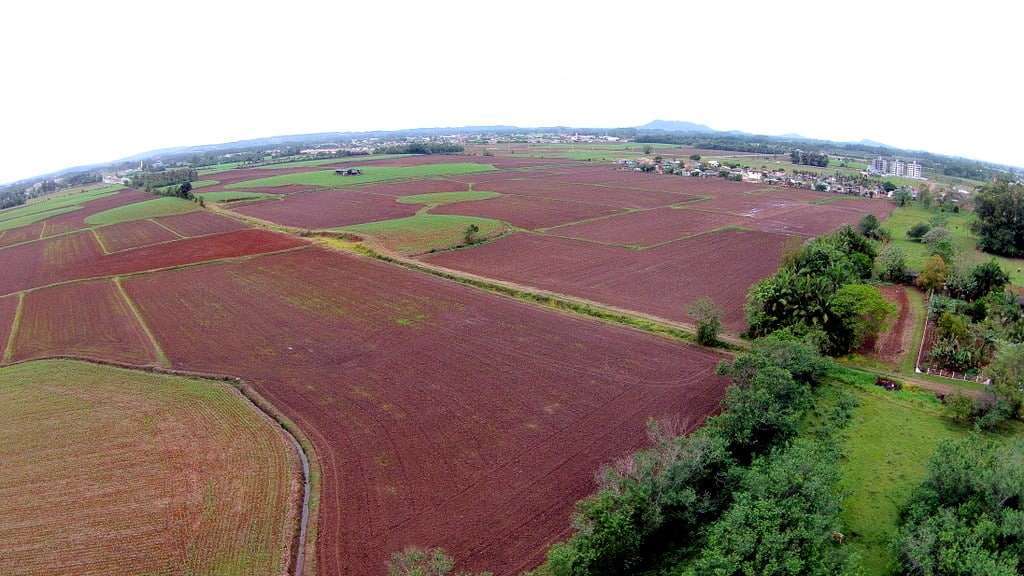 lavoura agricultura 2