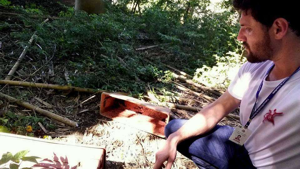 Vandalismo pós VIII Heimatfest revolta população 2 20 10 Vandalismo 2