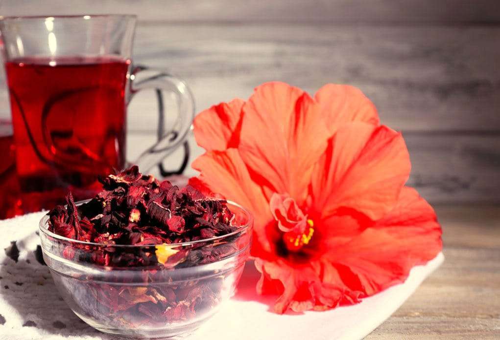Chá de hibisco